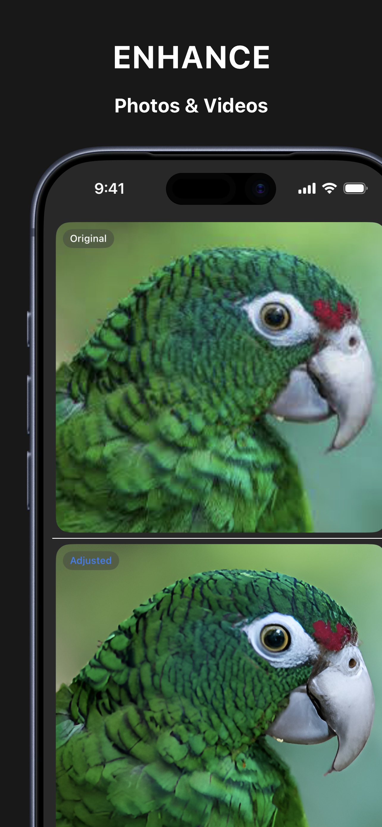 Pixzool Compare an upscale